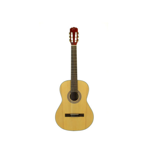 Classical Guitar QGC-20