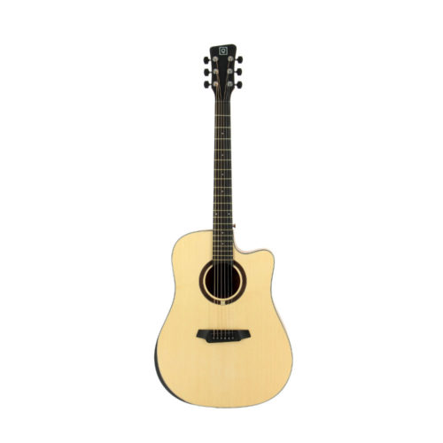 Acoustic Guitar QGA 100C