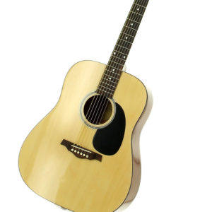 Acoustic guitar