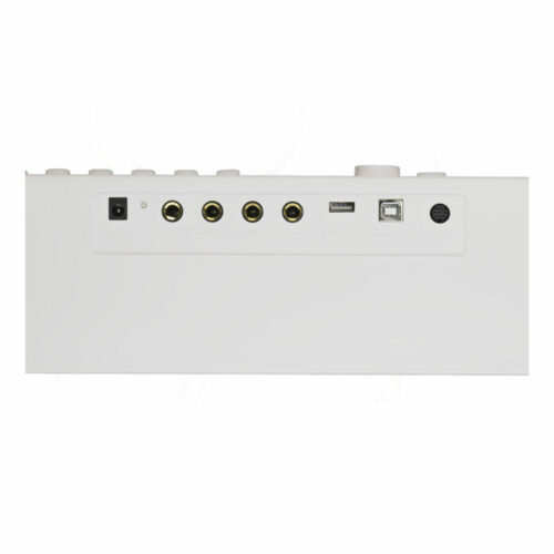 QP100 WB - Imagen 2