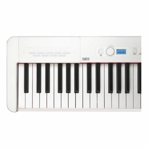QP100 WB - Imagen 4